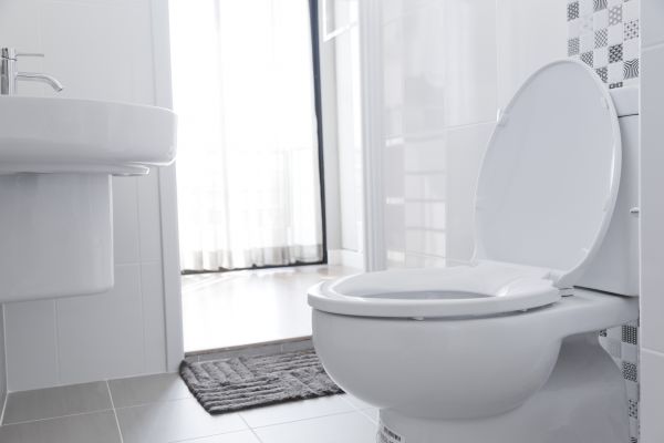 Cost of Toilet Relocation in Oroville
